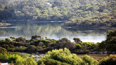 SEA EAGLE COTTAGE Amazing Views Of Bay Of Fires - Tourism Cairns 17