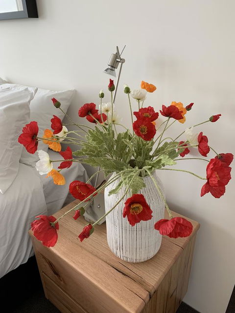 Anchorage Tasmania - Tourism Cairns 3