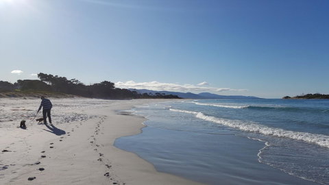 Suntrap Cove Bicheno - Tourism Cairns 5