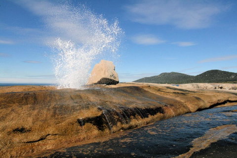 Suntrap Cove Bicheno - Tourism Cairns 0