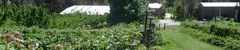 Eureka Farm - Tourism Cairns 25