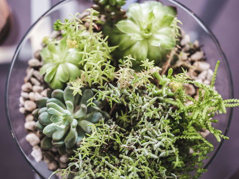 Russell House - Tourism Cairns 7