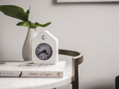 Russell House - Tourism Cairns 14