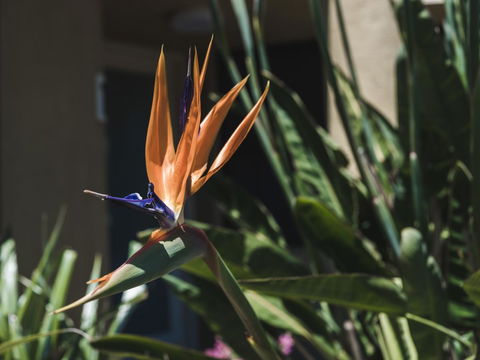 Russell House - Tourism Cairns 2