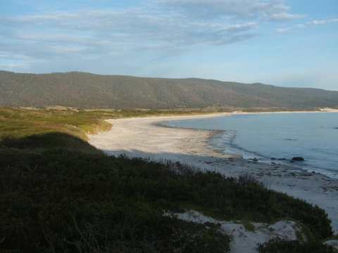 Seymour Waves - Tourism Cairns 20