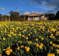 Mountain Blue Guest House - Tourism Cairns