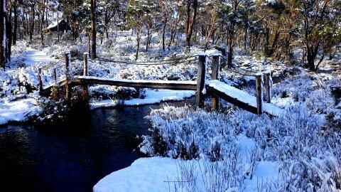 Cradle Mountain Love Shack - Tourism Cairns 10