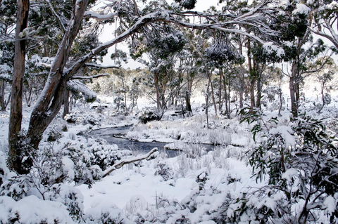 Cradle Mountain Love Shack - Tourism Cairns 11