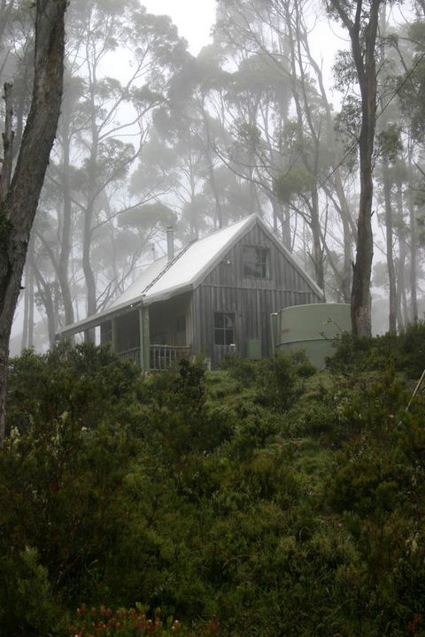 Cradle Mountain Love Shack - Tourism Cairns 6