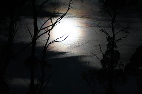 Cradle Mountain Love Shack - Tourism Cairns 12