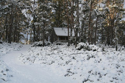 Cradle Mountain Love Shack - Tourism Cairns 7