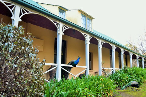 Cleburne Homestead - Tourism Cairns 29