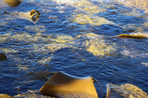 Blu-Sea 365 - Tourism Cairns 28