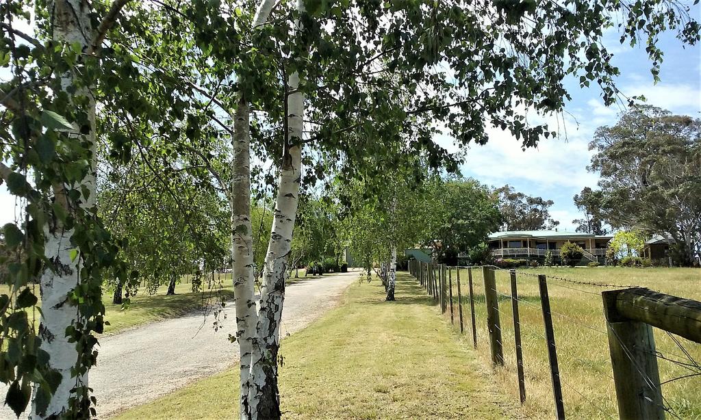 Nicholson VIC Tourism Cairns