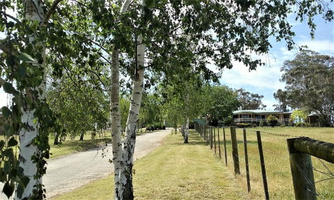 Nicholson BnB And Arts Centre - Tourism Cairns 0