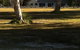Noosa Lake House - thumb 1