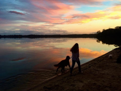 Noosa Lake House - Tourism Cairns 3