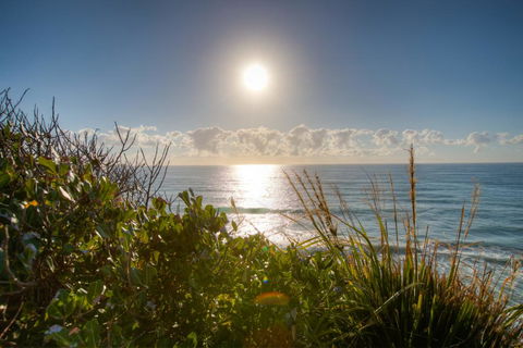 Osprey - Sapphire Beach NSW - Tourism Cairns 2