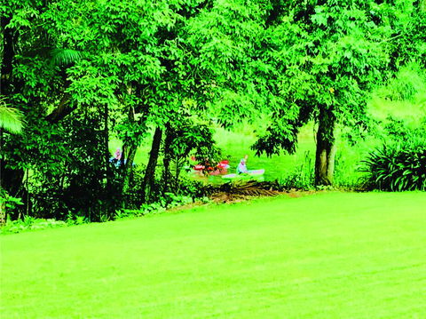 Paradise Eco B & B - Tourism Cairns 1