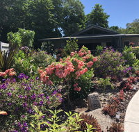 Paradise Retreat - Tourism Cairns