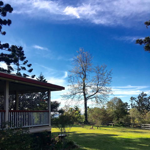 Pechey Homestead - Tourism Cairns 3