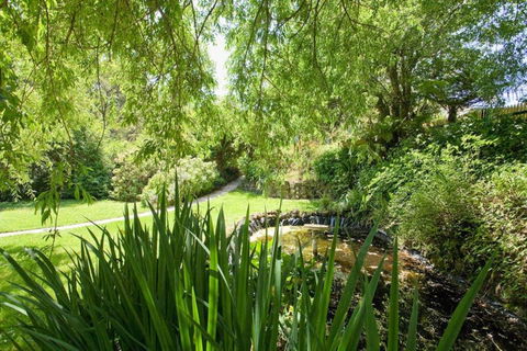 PLUM TREE COTTAGE - Spa Cottage With Woodfire - Tourism Cairns 3