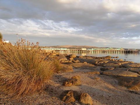 Port Lincoln Holiday Houses - Tourism Cairns 3