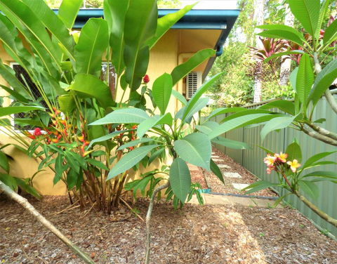 Rainforest Cottage Cairns - Tourism Cairns 0