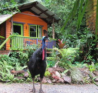 Rainforest Hideaway - Tourism Cairns
