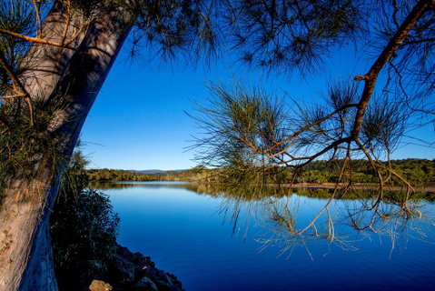 Reflections Holiday Parks Ferry Reserve - Tourism Cairns 3