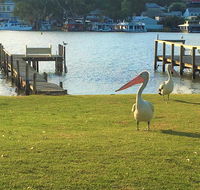 Riverfront Getaway - Mannum - Tourism Cairns