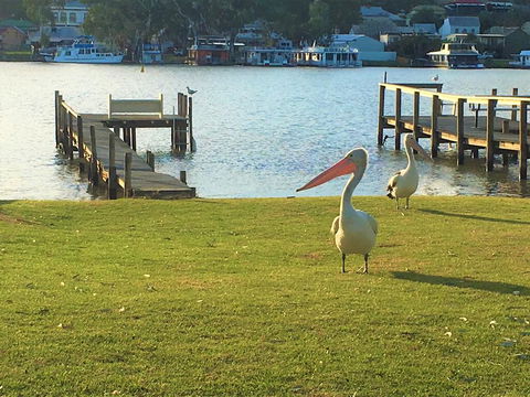 Riverfront Getaway - Mannum - Tourism Cairns 0