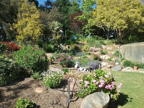 Rose Cottage - Tourism Cairns 1