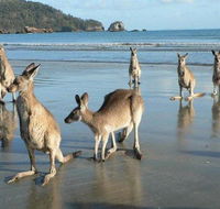 Seaforth Holiday Units - Tourism Cairns