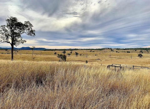 Skyline Farm House - Tourism Cairns 3