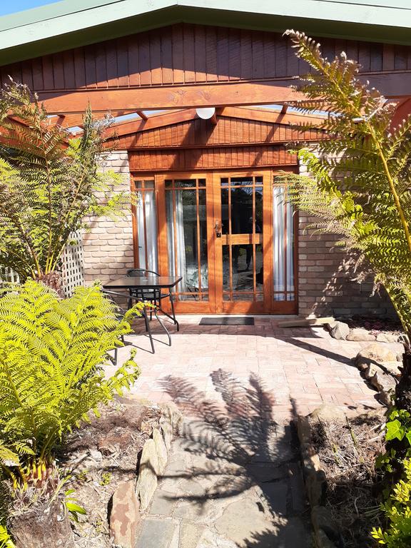 Forest ACT Tourism Cairns