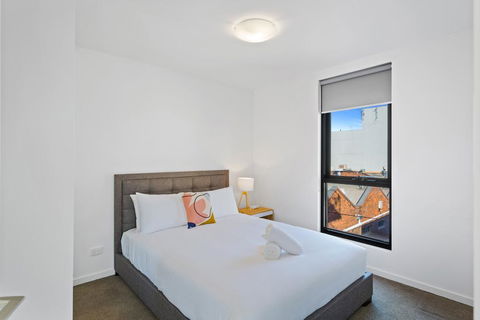 Soho 203 - Tourism Cairns 3