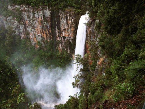 Springbrook Lyrebird Retreat - Tourism Cairns 2