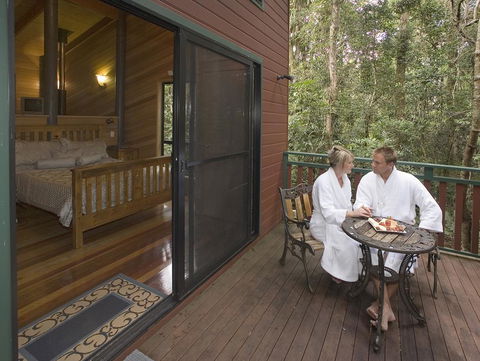 Springbrook Lyrebird Retreat - Tourism Cairns 3