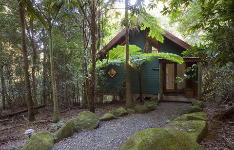 Springbrook Lyrebird Retreat - Tourism Cairns 1