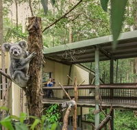 Springwood Meditation Centre - Tourism Cairns