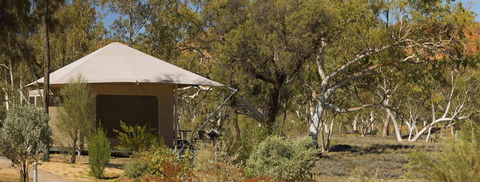 Squeakywindmill Boutique Tent B&B - Tourism Cairns 3
