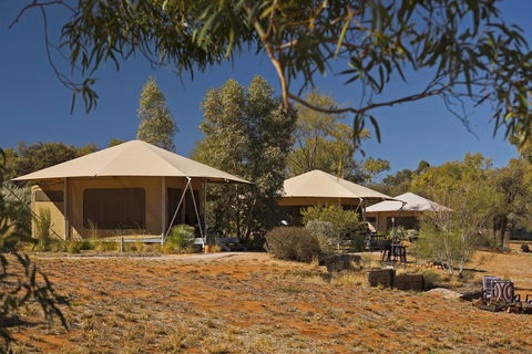 Squeakywindmill Boutique Tent B&B - Tourism Cairns 0