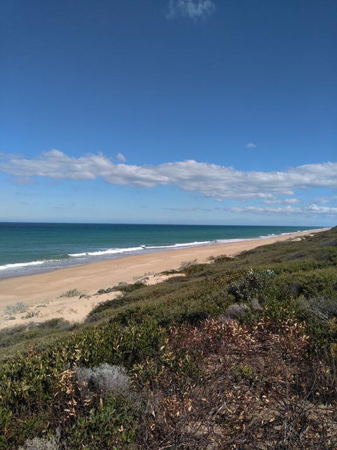 Symuya - Tourism Cairns 1