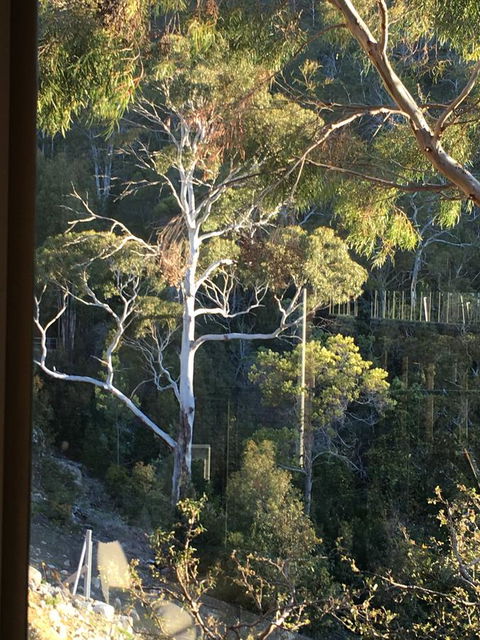 The Lookout - Tourism Cairns 22