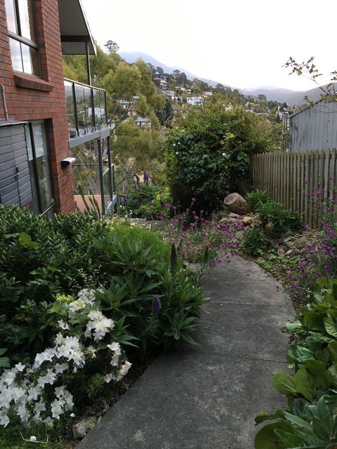 The Lookout - Tourism Cairns 23