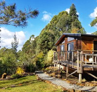 Southern Forest Accommodation - Tourism Cairns