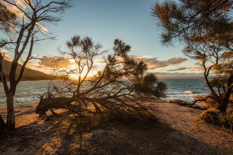 Freycinet Lodge - Tourism Cairns 44