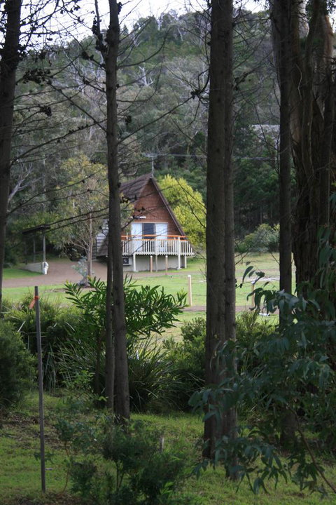 Bicheno By The Bay - Tourism Cairns 27