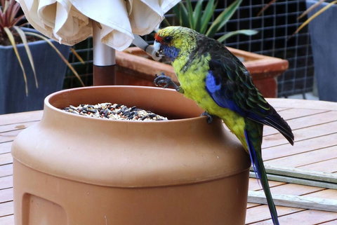 THE LOFT @ Bay Of Fires Seascape - Tourism Cairns 22